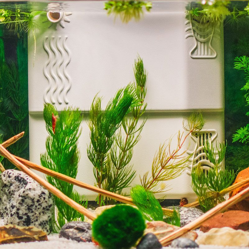 Installation 187314799 L 800